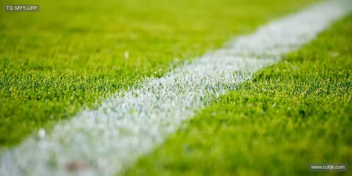 沸腾吧!🏀🏆 体育赛事,点燃你的无限可能!